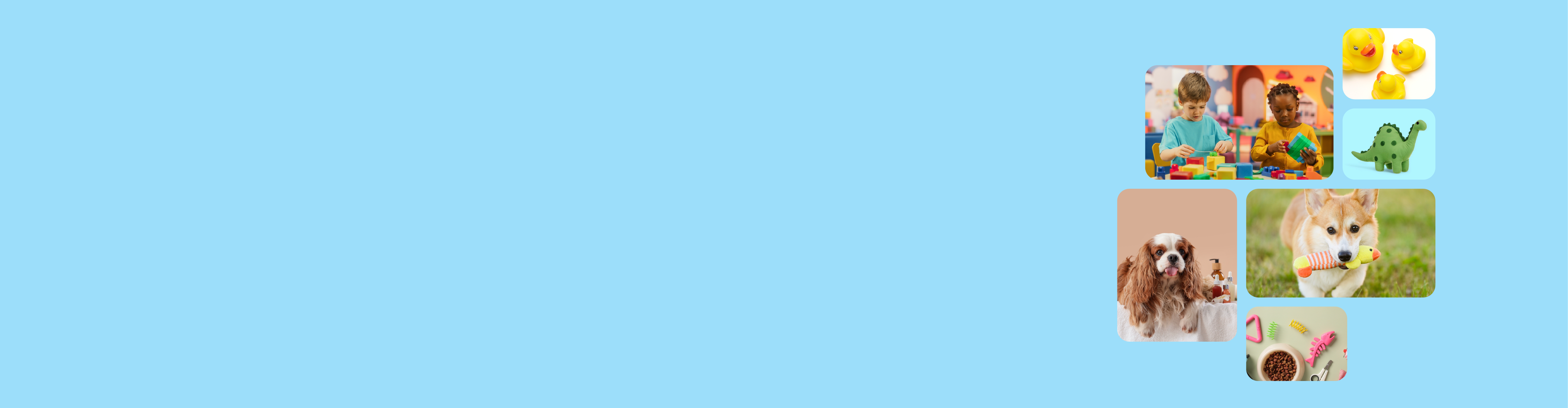  旺季品类限时福利